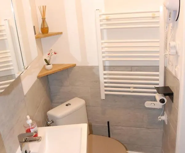 Quartier Thermal - Parc Sainte-marie Apartman Nancy